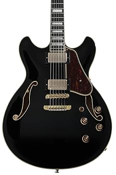 Amazon | Ibanez/Artcore Expressionist AS93BC-BK (Black